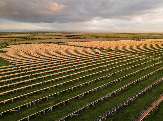 An expansive solar park in Gujarat under the setting sun, with rows of photovoltaic panels, evidencing India's commitment to leading solar power companies and renewable energy growth.